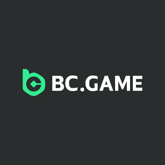A Comprehensive Guide to the BC.CO Registration Process