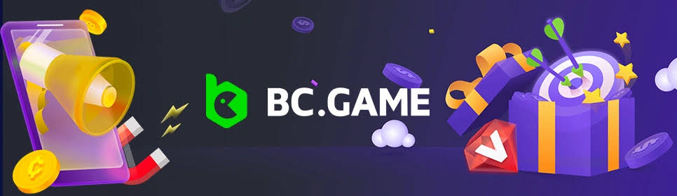 A Comprehensive Guide to the BC.CO Registration Process